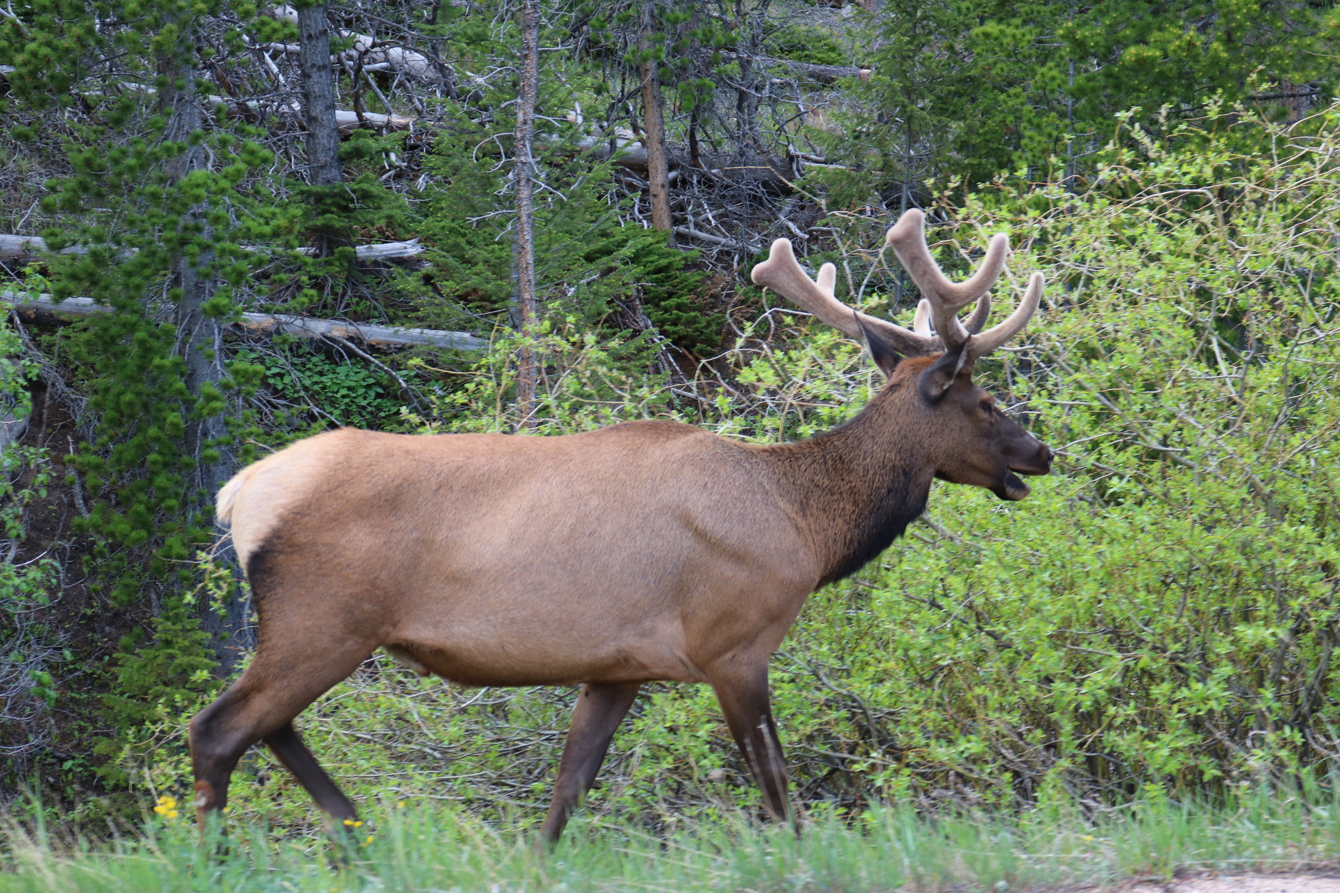 18D1813E-EC89-400E-9F77-B79CAD599933